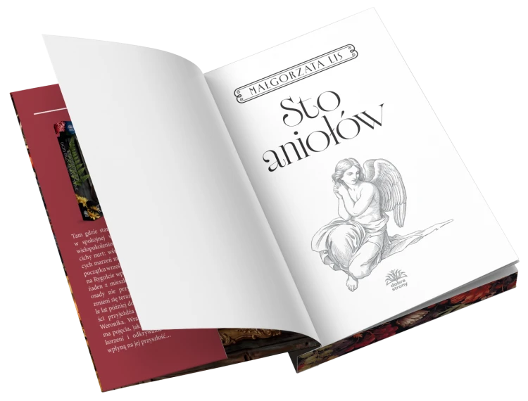 widok otwartej książki