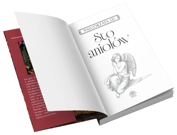 widok otwartej książki